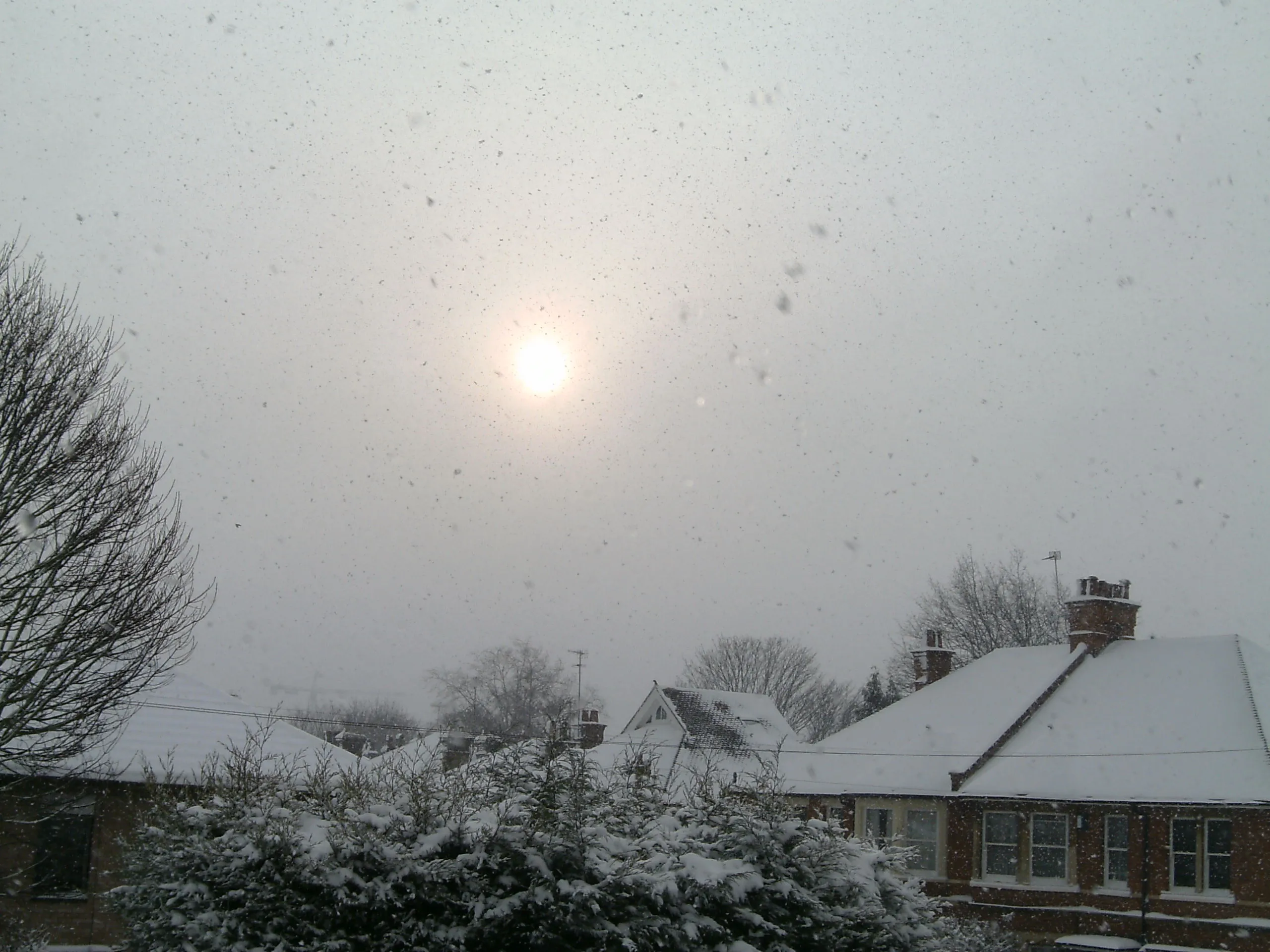 Muted sun shining above a snowy residential neighborhood during active snowfall