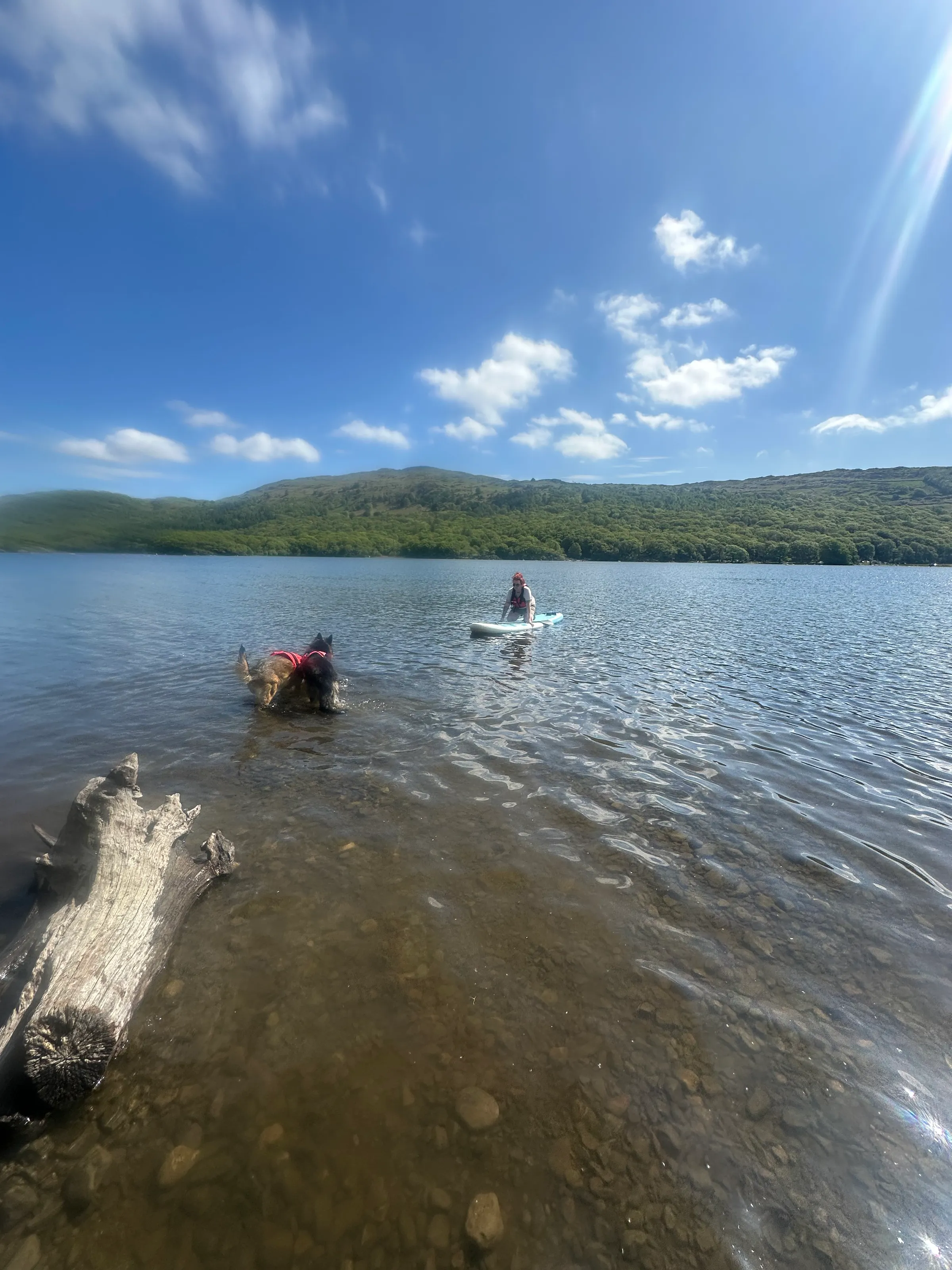 At the lake