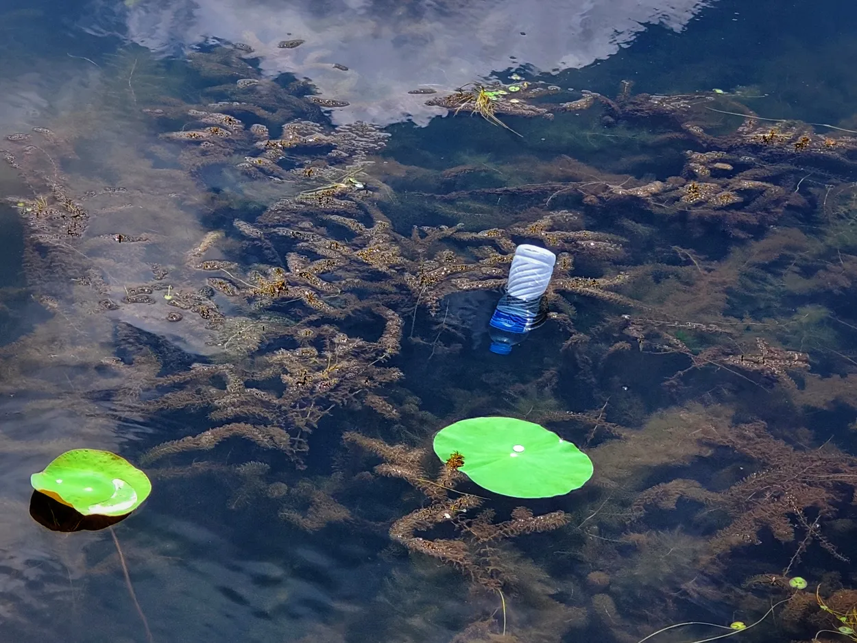 Rubbish in Lakes and Rivers