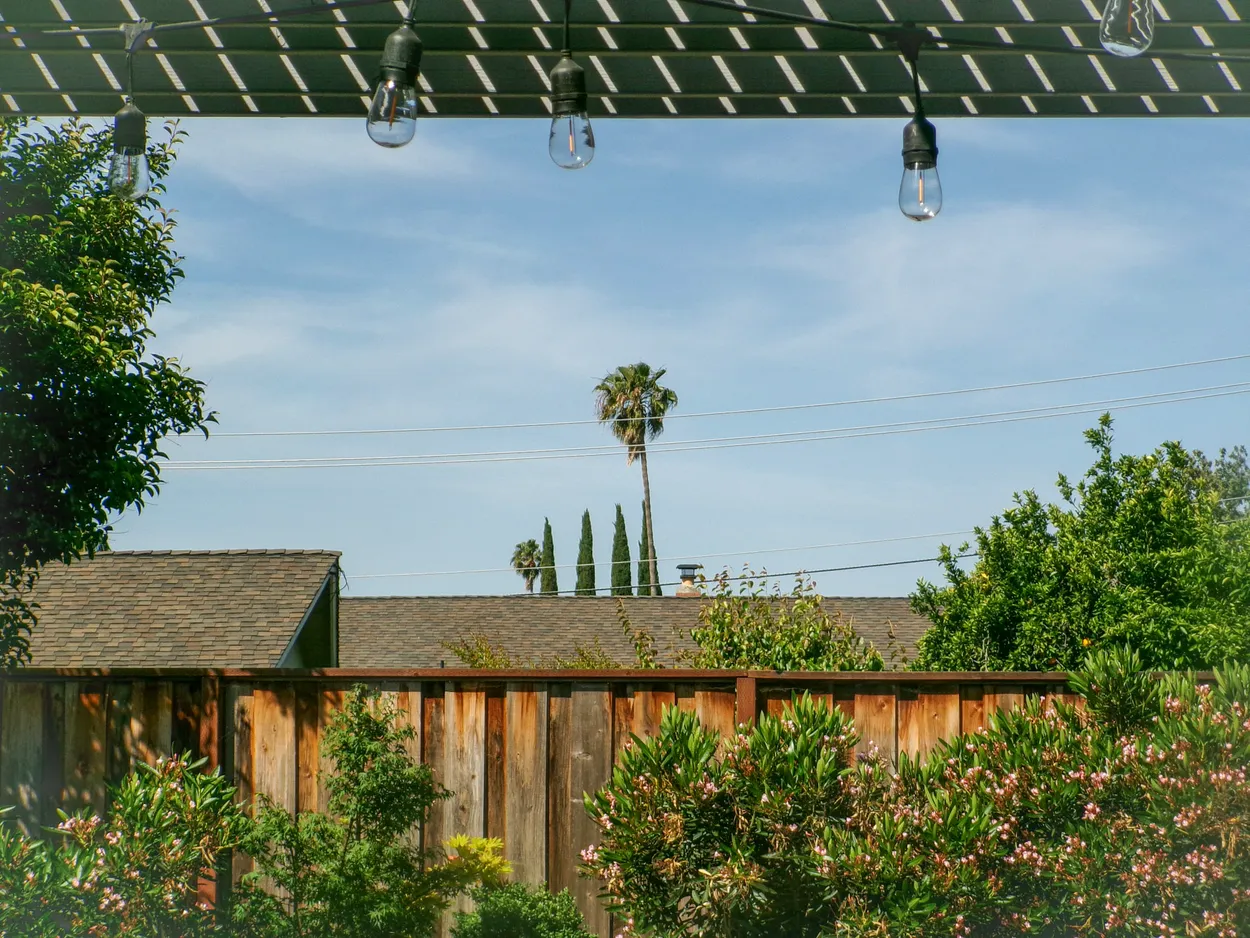 The Backyard