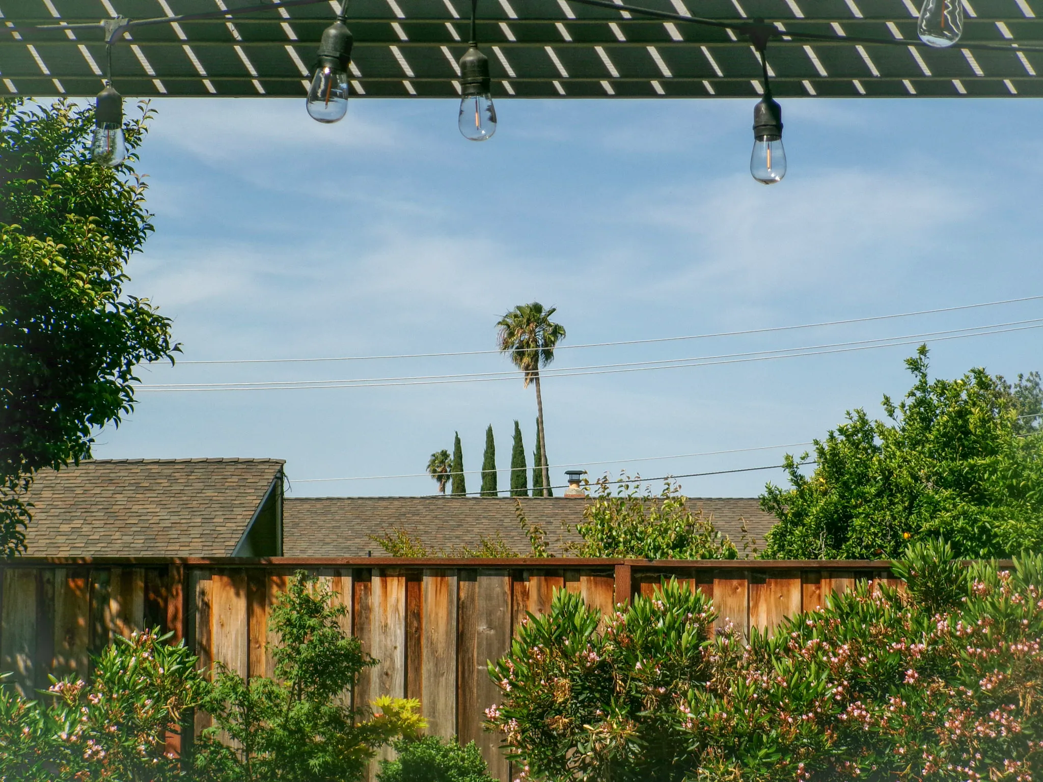 The Backyard