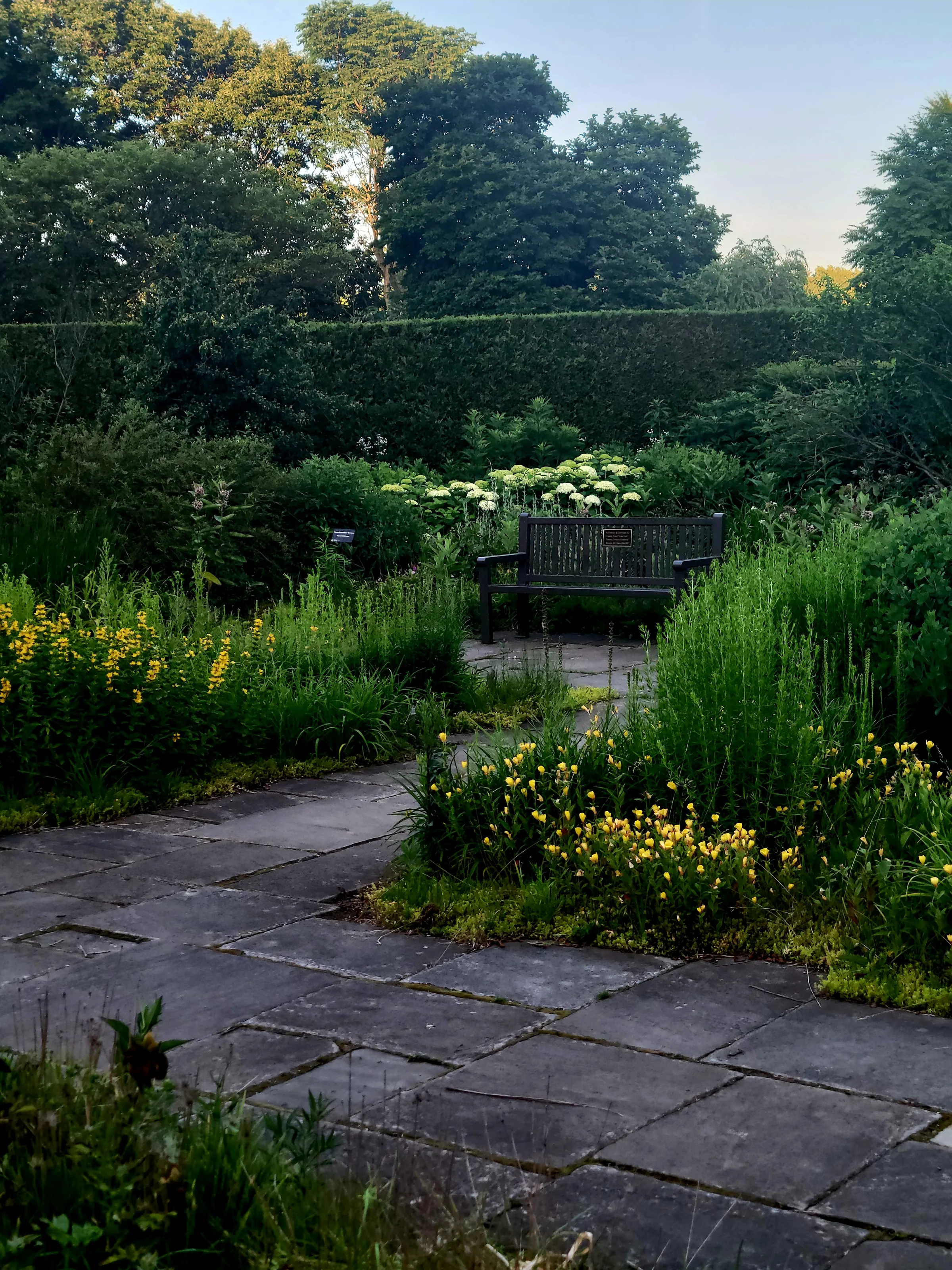 A place to breathe and the place to be.