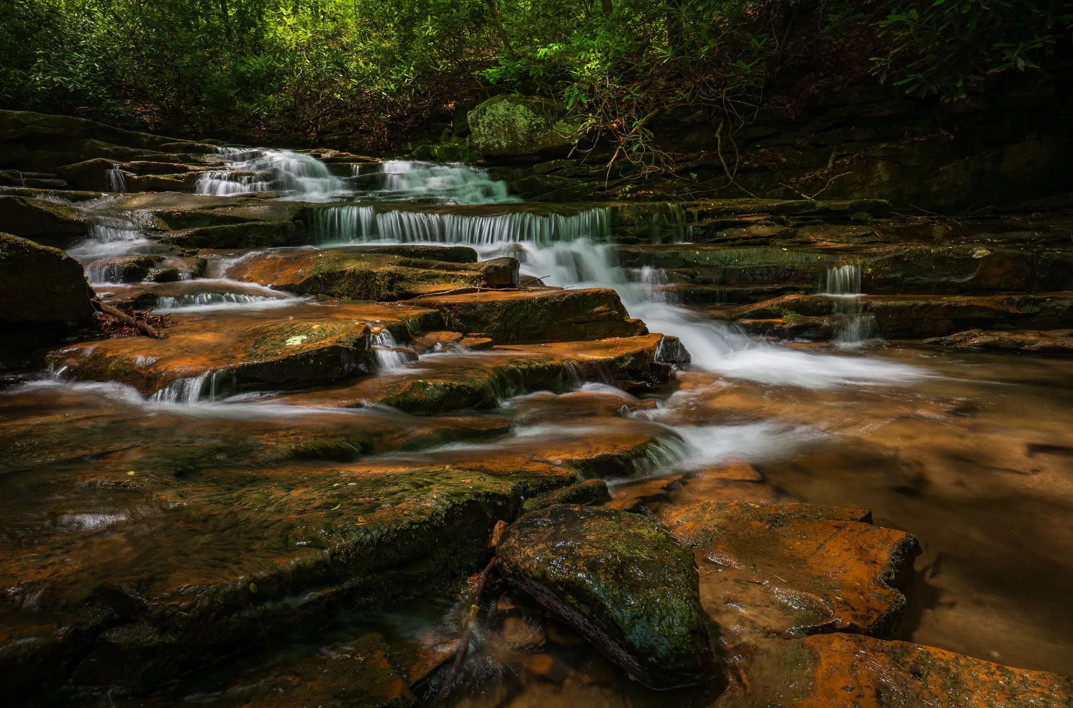Ohiopyle State Park - Jonathan Run