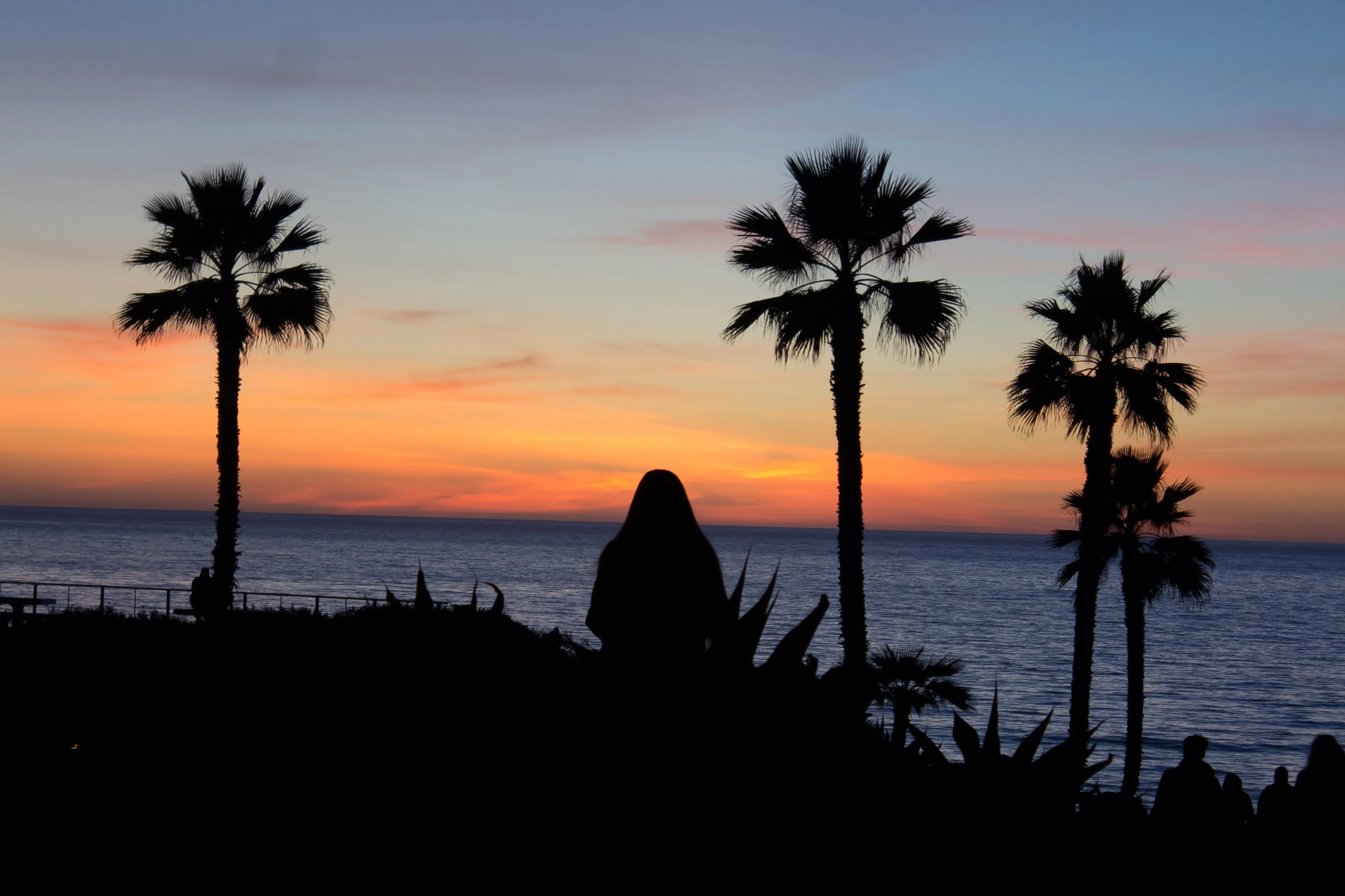 Sunset Silhouette