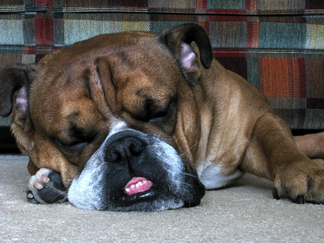 I just can't open my eyes...