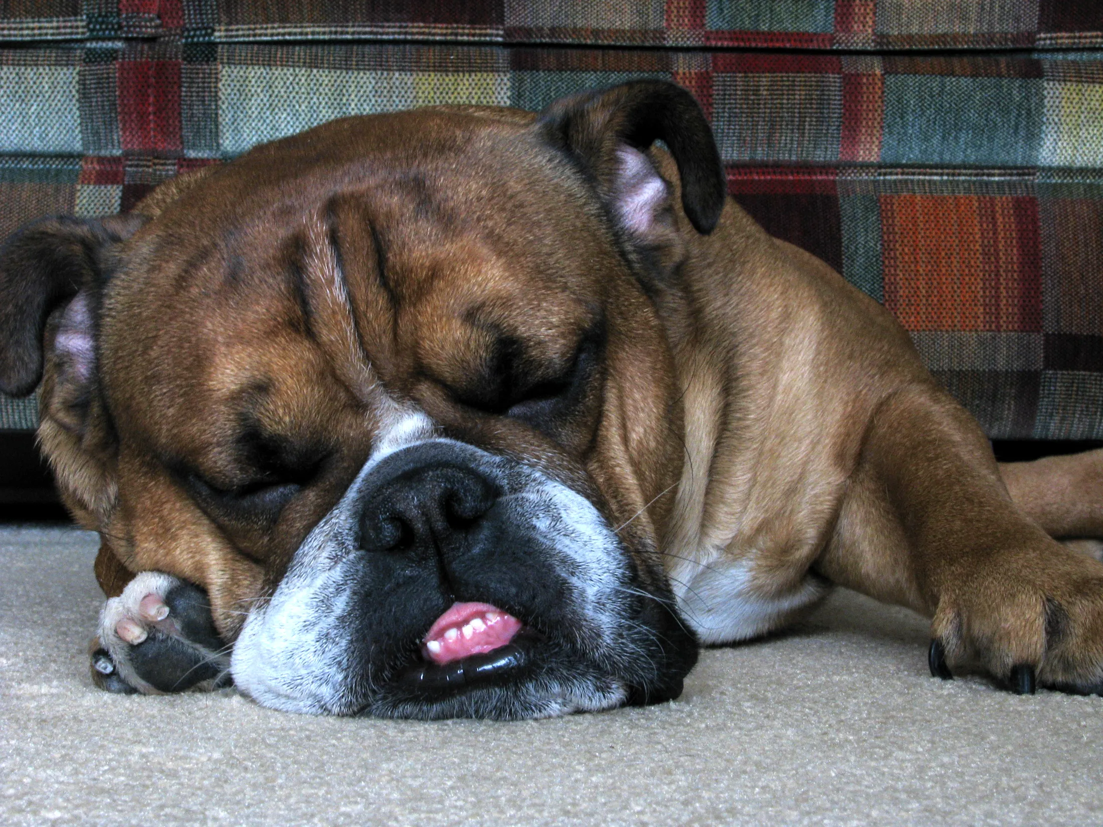 I just can't open my eyes...