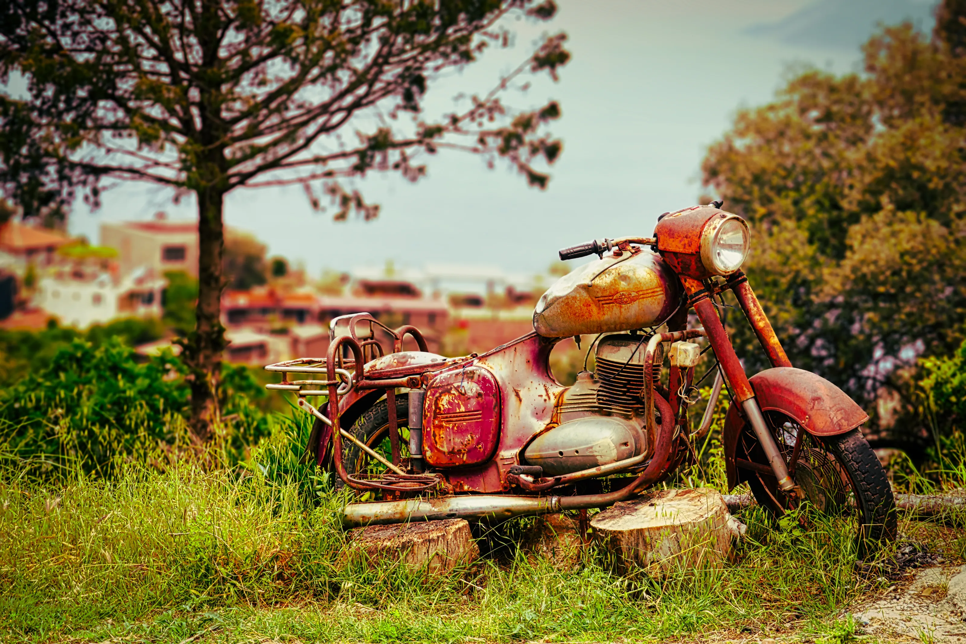 Rusty bike
