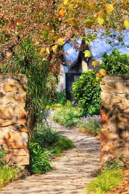 Autumn garden