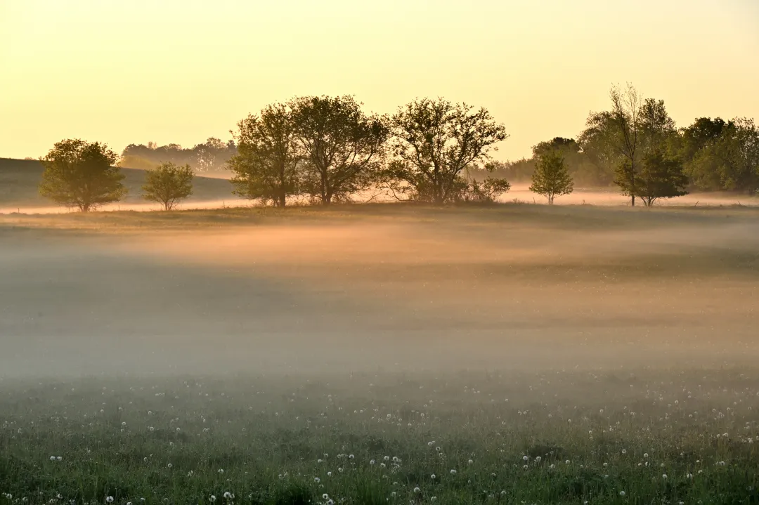 First Rays on a Foggy Morning