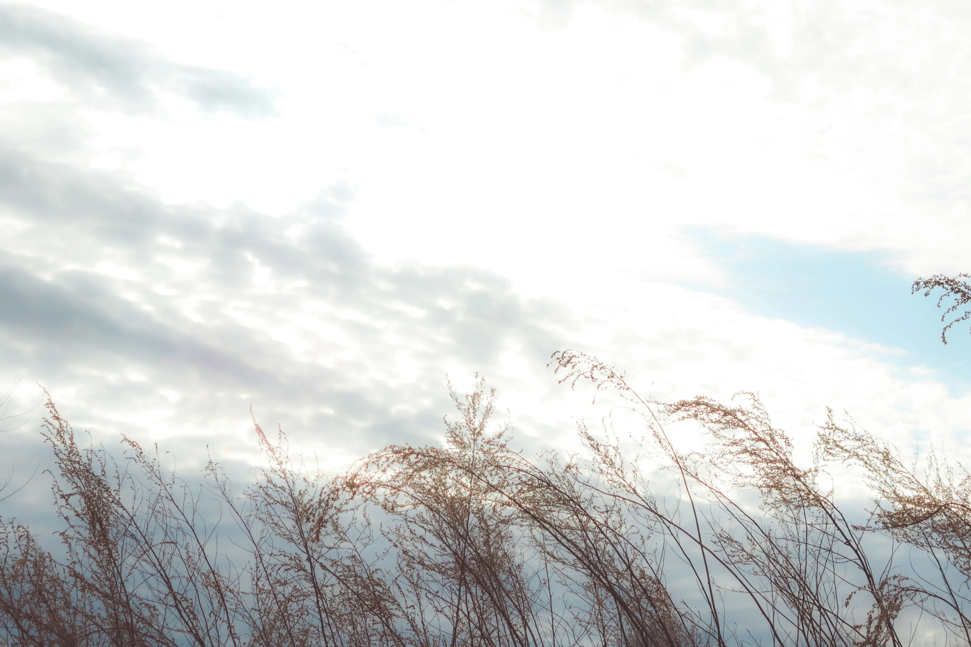 Blowing in the wind