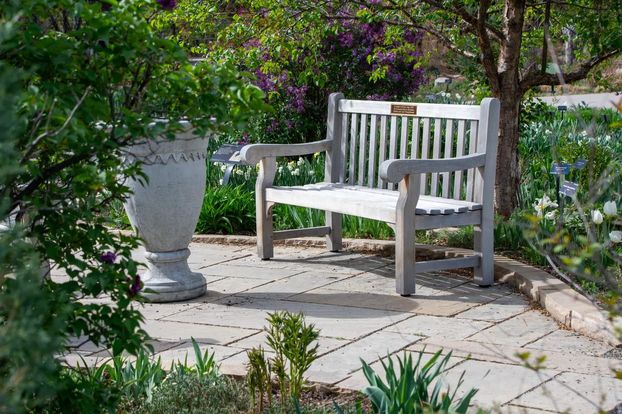 Lilac Garden Bench