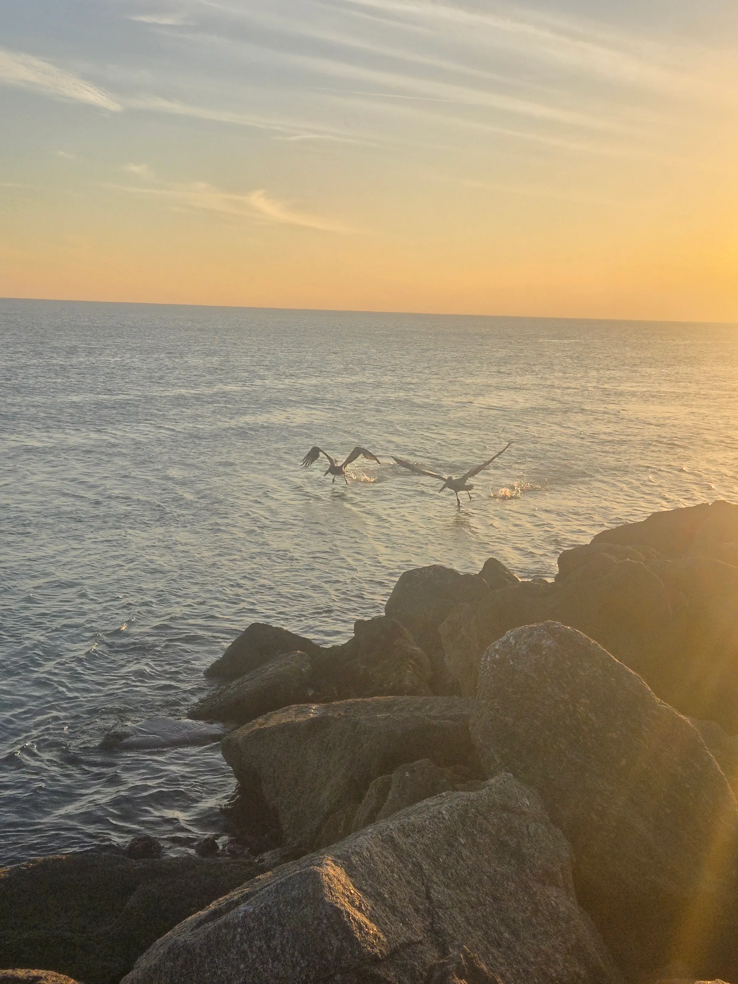 Flying the gulf