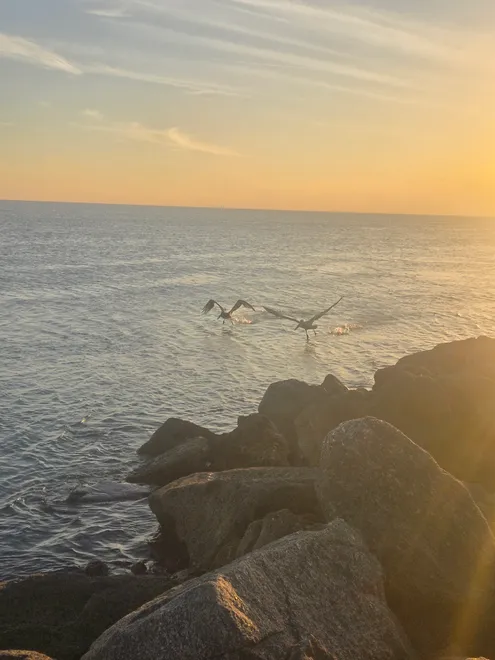 Flying the gulf