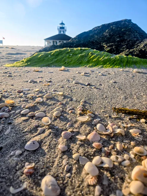 A Stroll to The lighthouse
