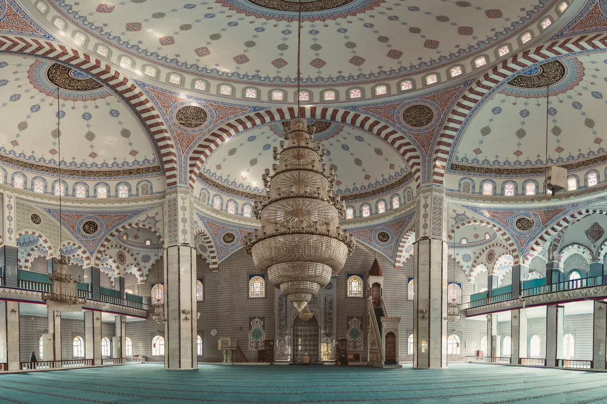 Entry 28887318