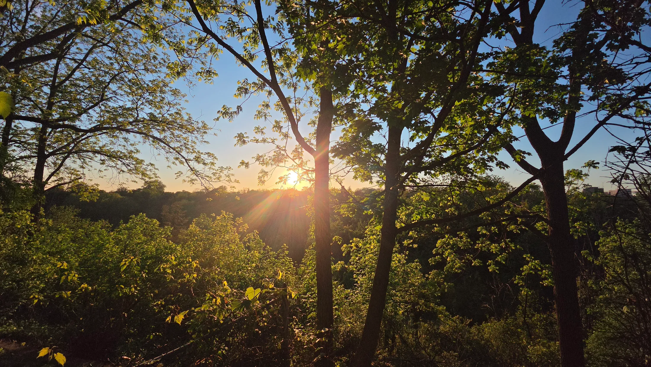 Sunset Nice