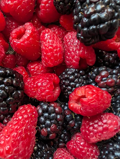 Berries