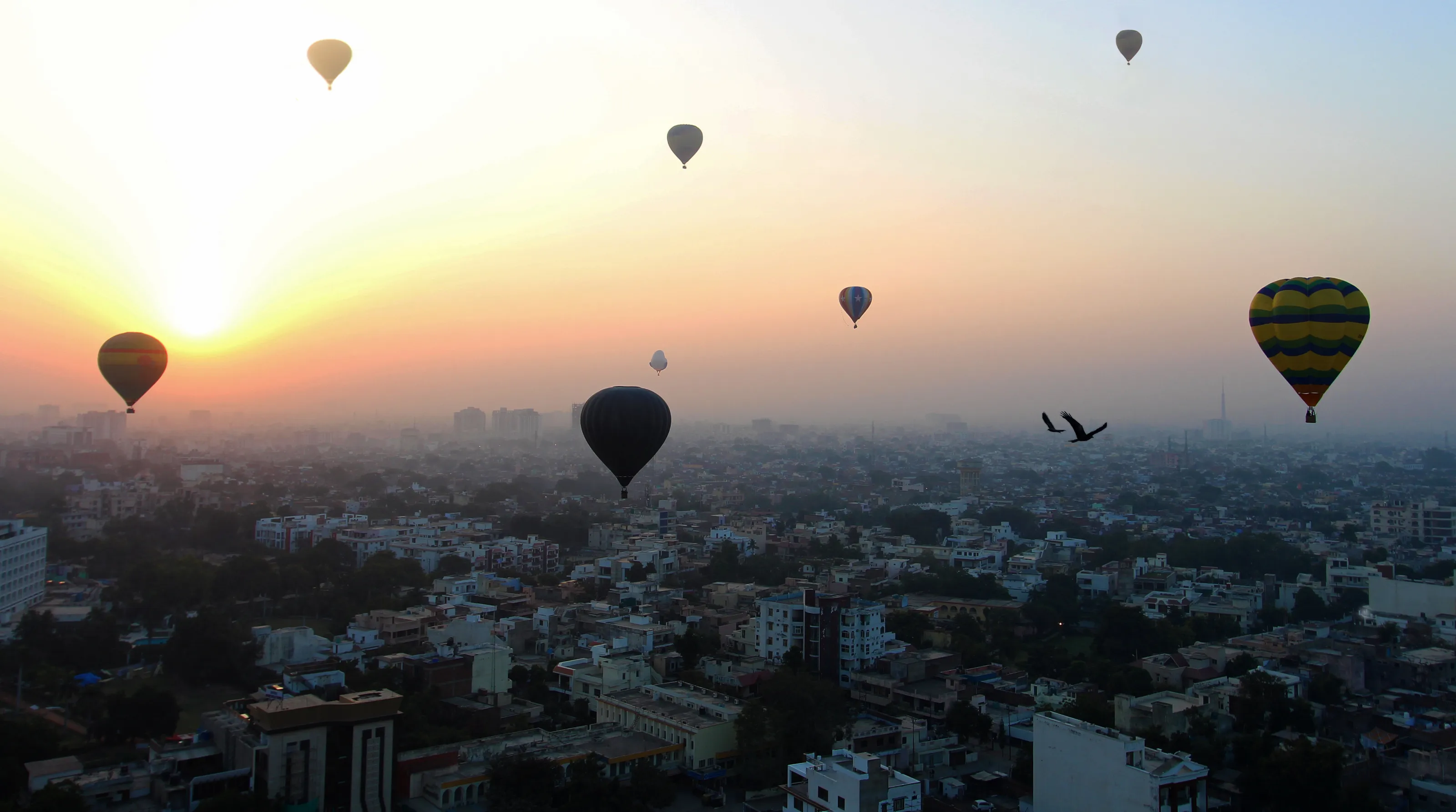 Flight At Sunrise
