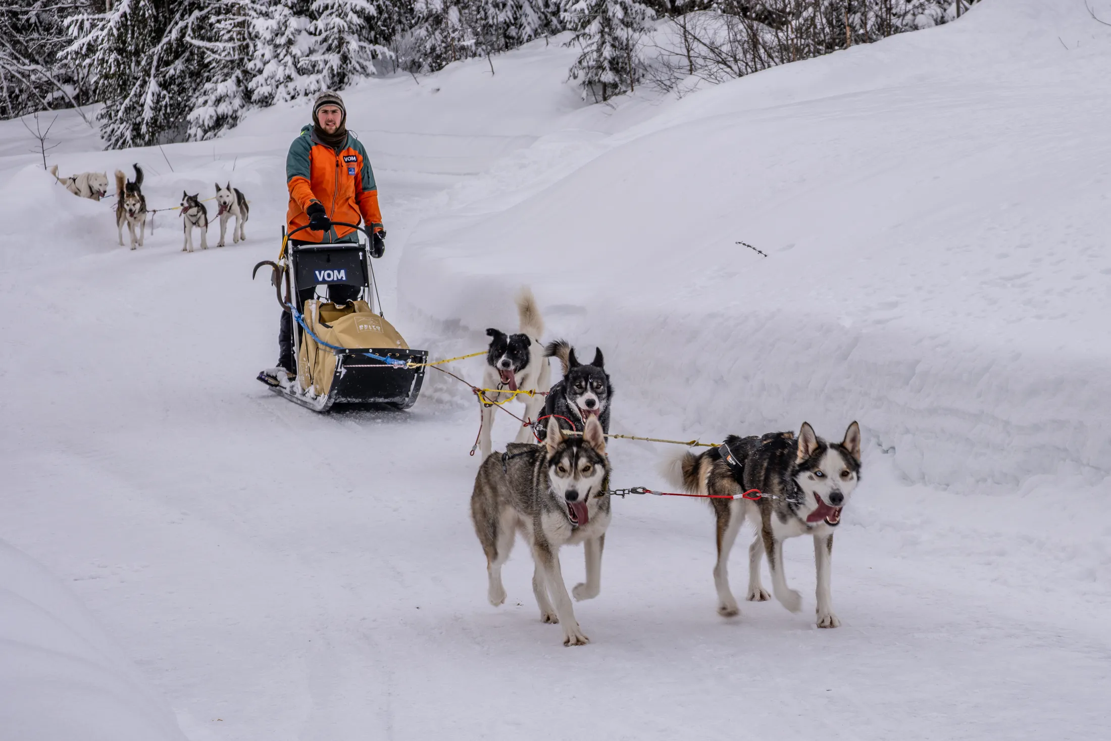 Husky Team