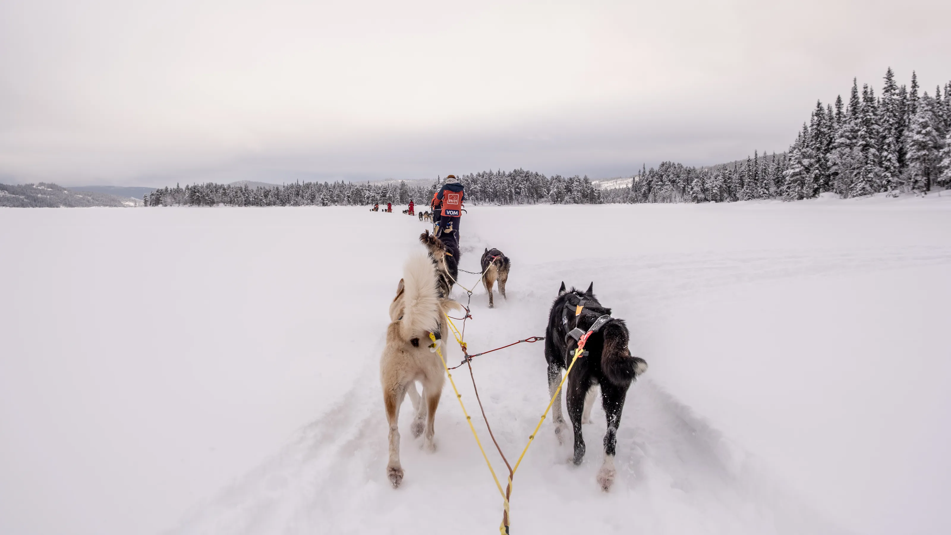 Ploughing Through the Snow