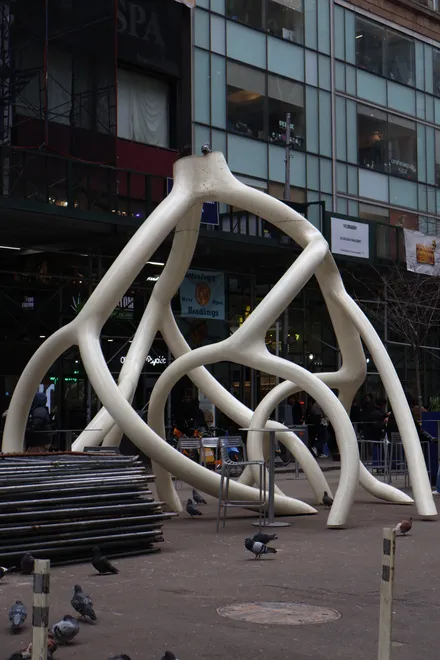 New York Roots