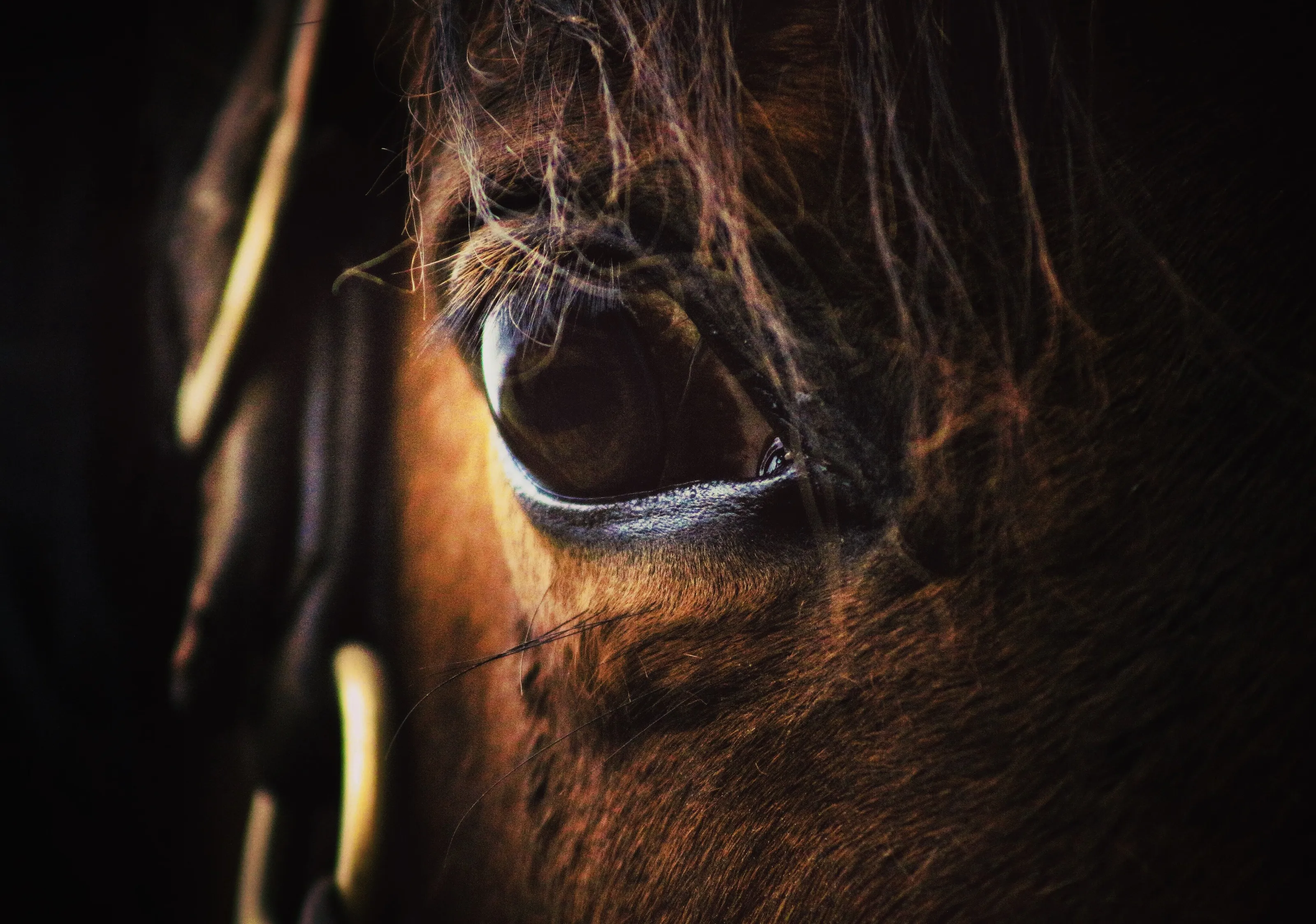 Beauty Is in the eye of the beholder