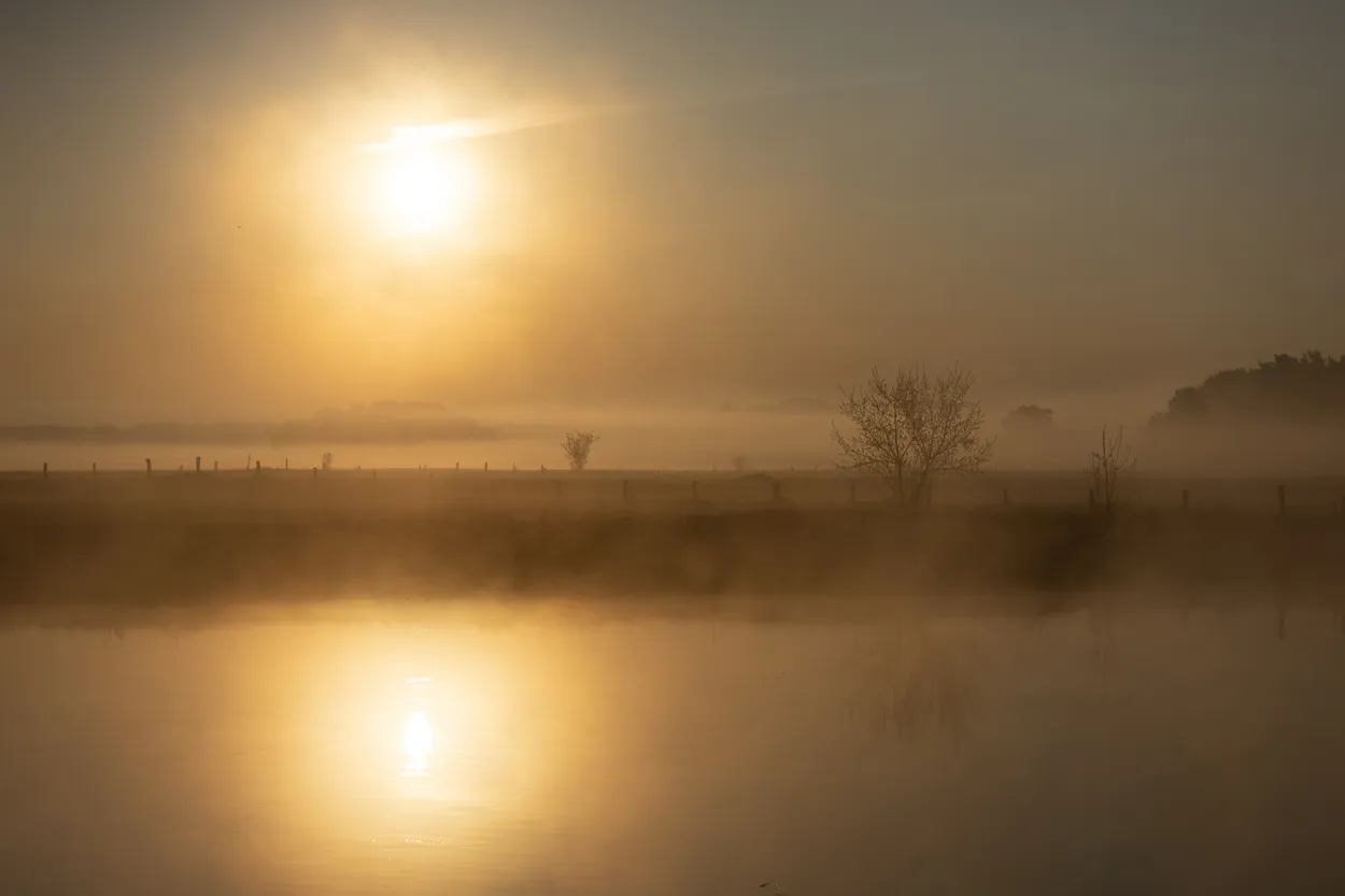 Untitled image