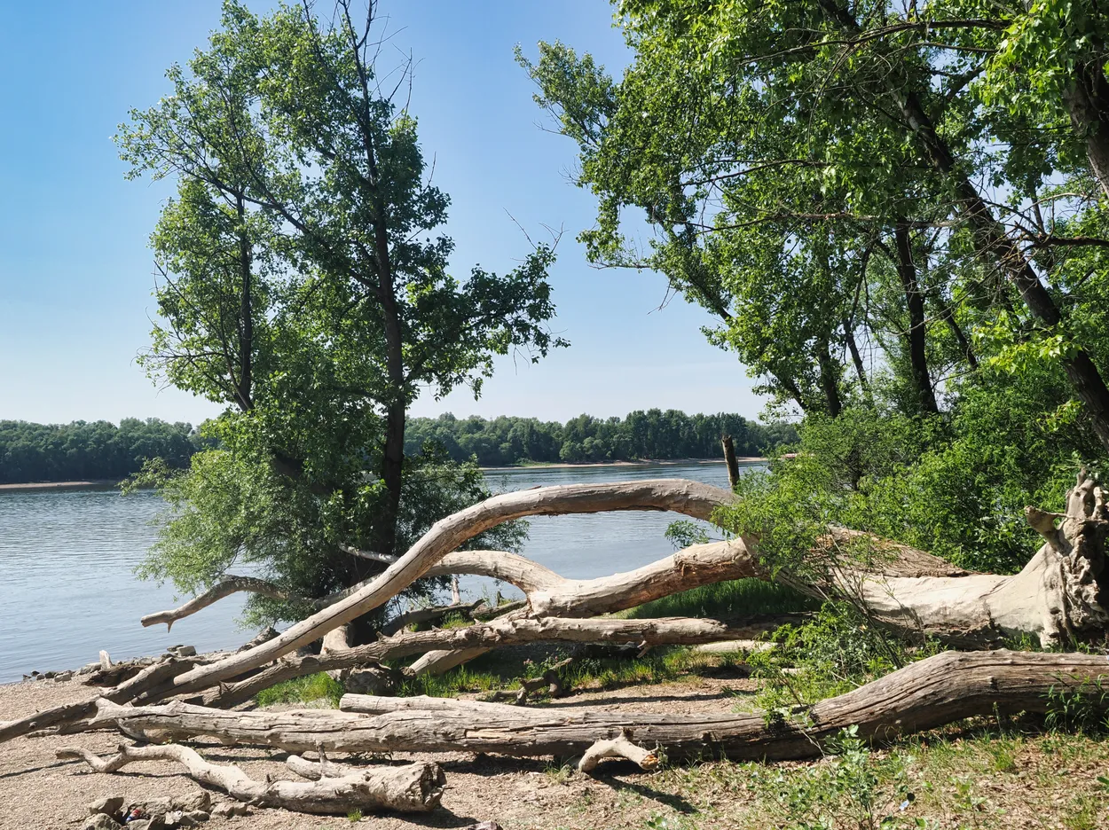 Riverside