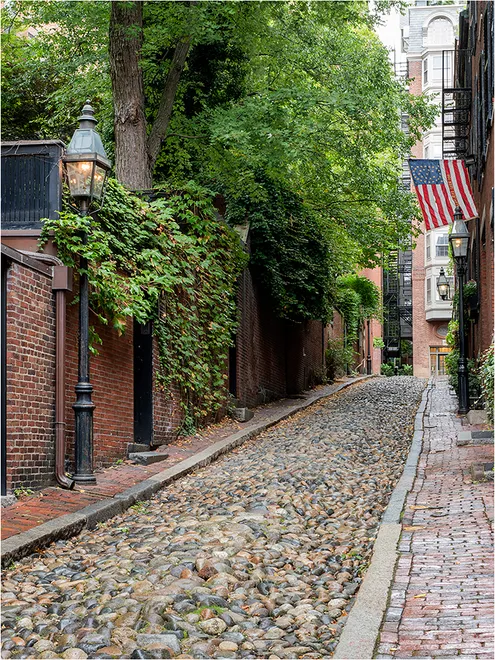 The Trees of Acorn Street, Boston