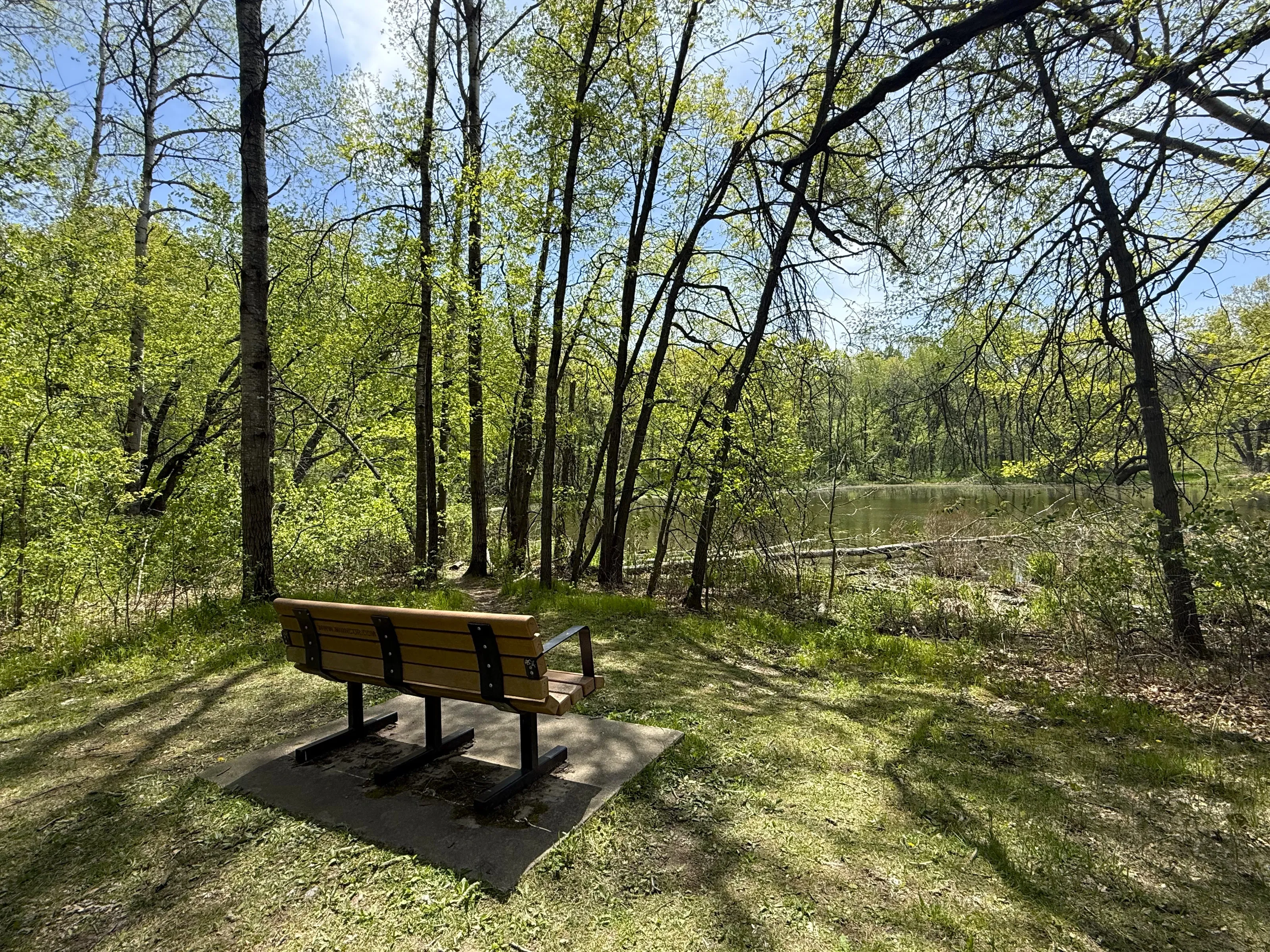 Empty Bench