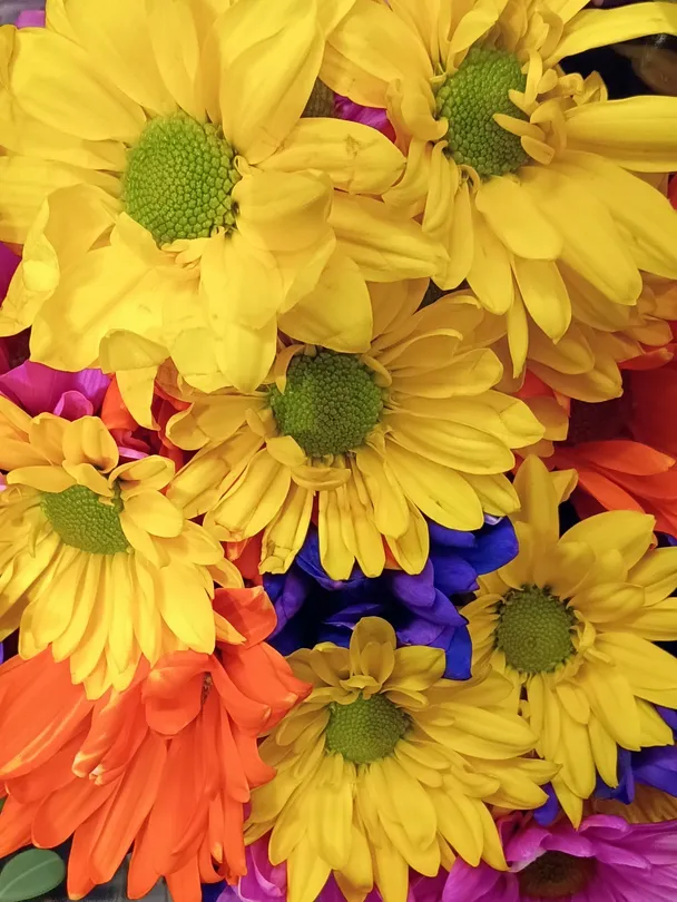 flower arrangement