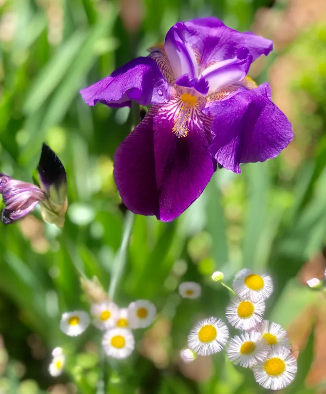 Untitled image