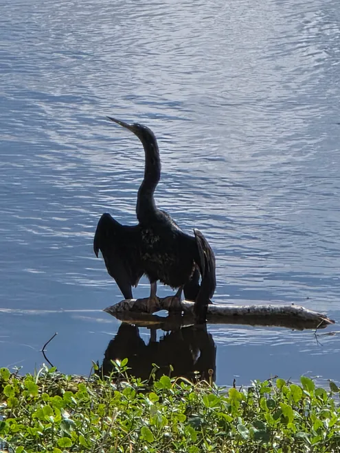 Edge of the Water