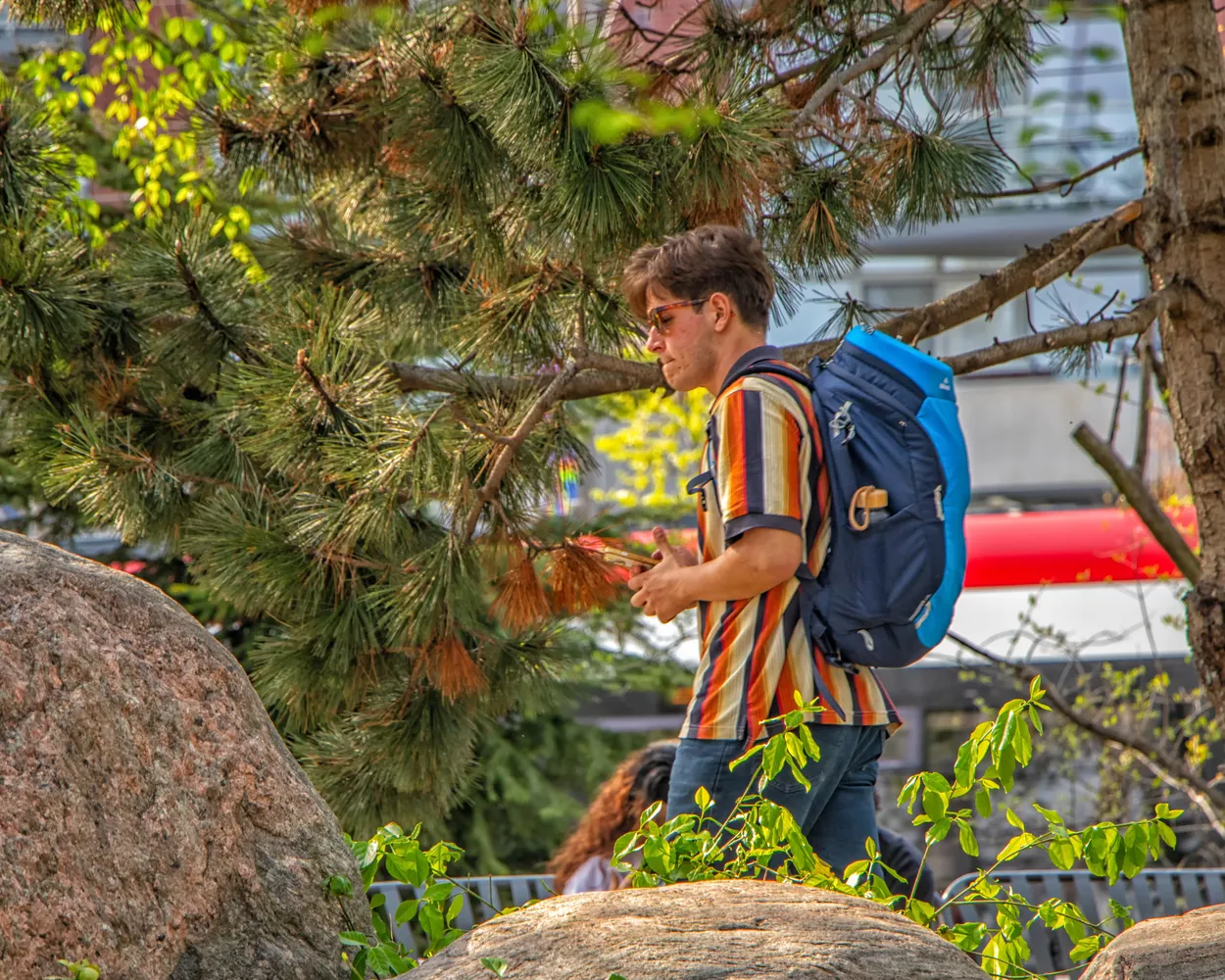 Man Walking Under a Pine Tree