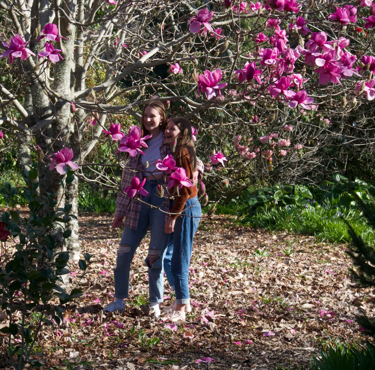 Posing With the Flowers