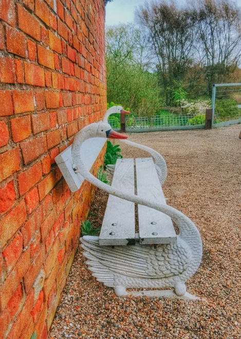Swanning Around...