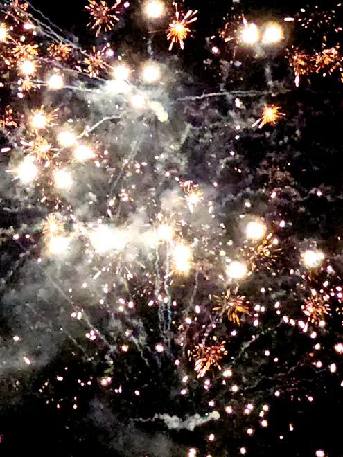 Fireworks in the night sky