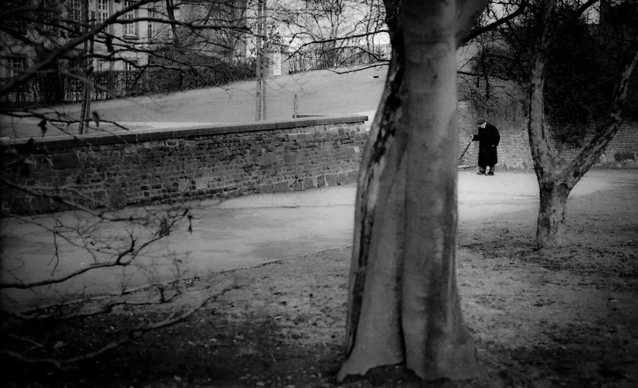 An old man with a walking stick