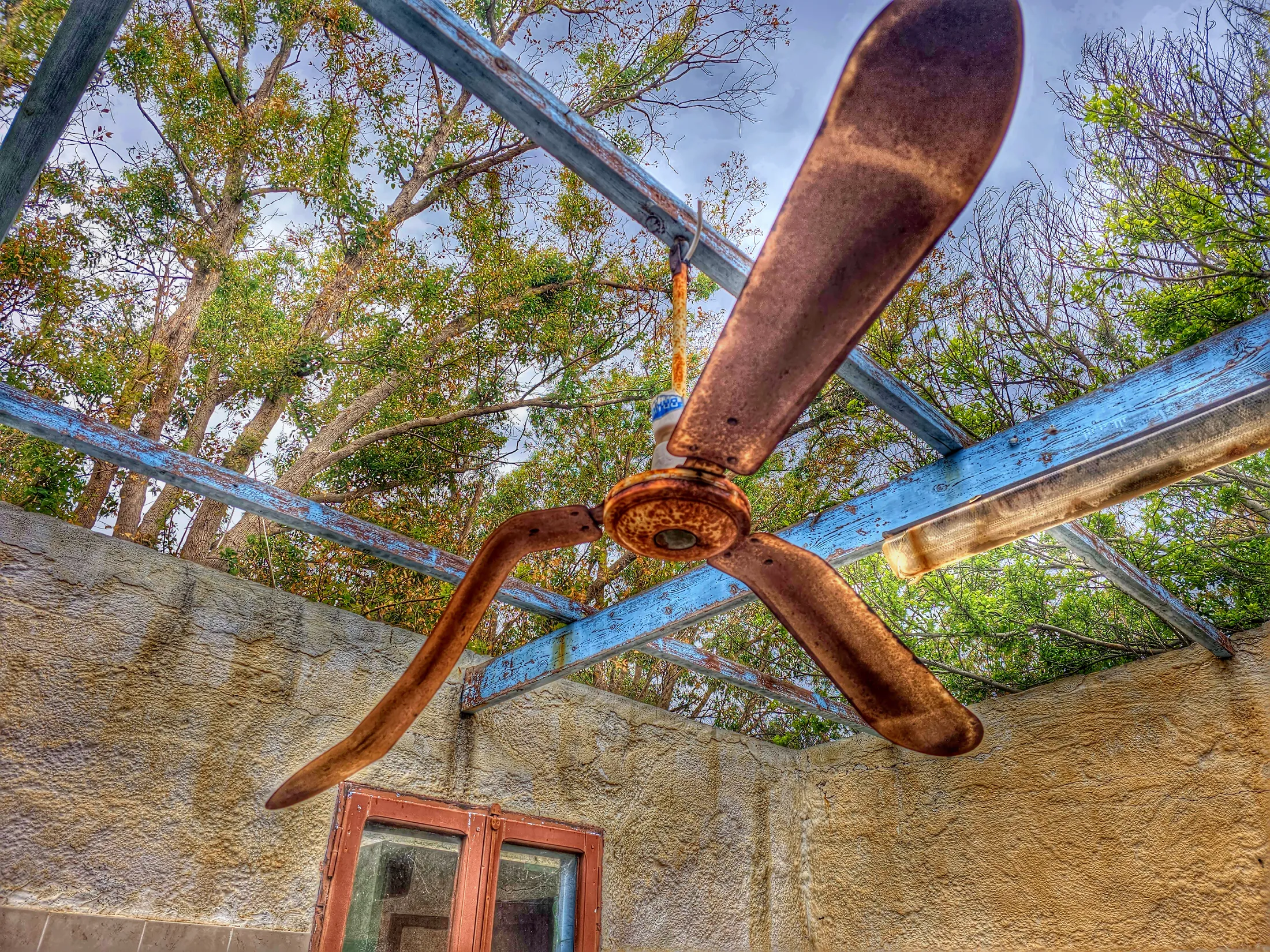 Ceiling fan