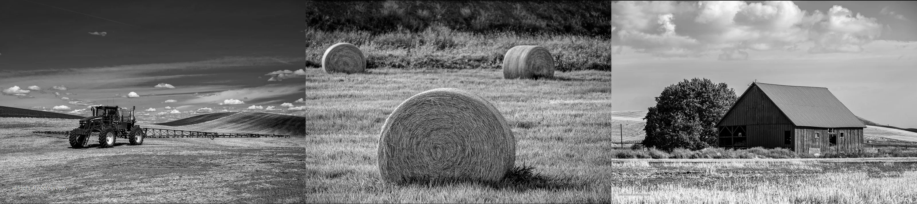 Farm Land
