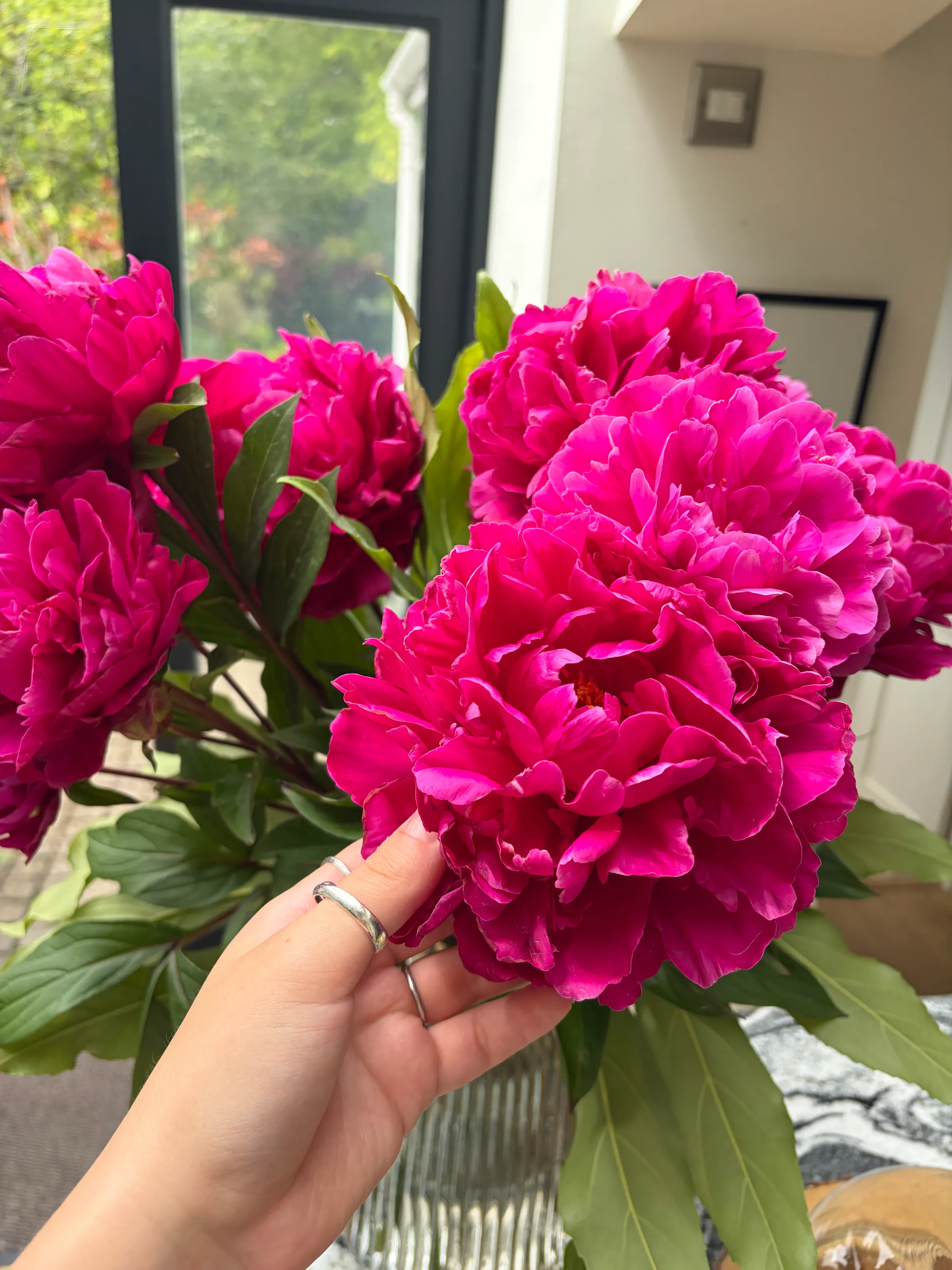 homegrown peonies