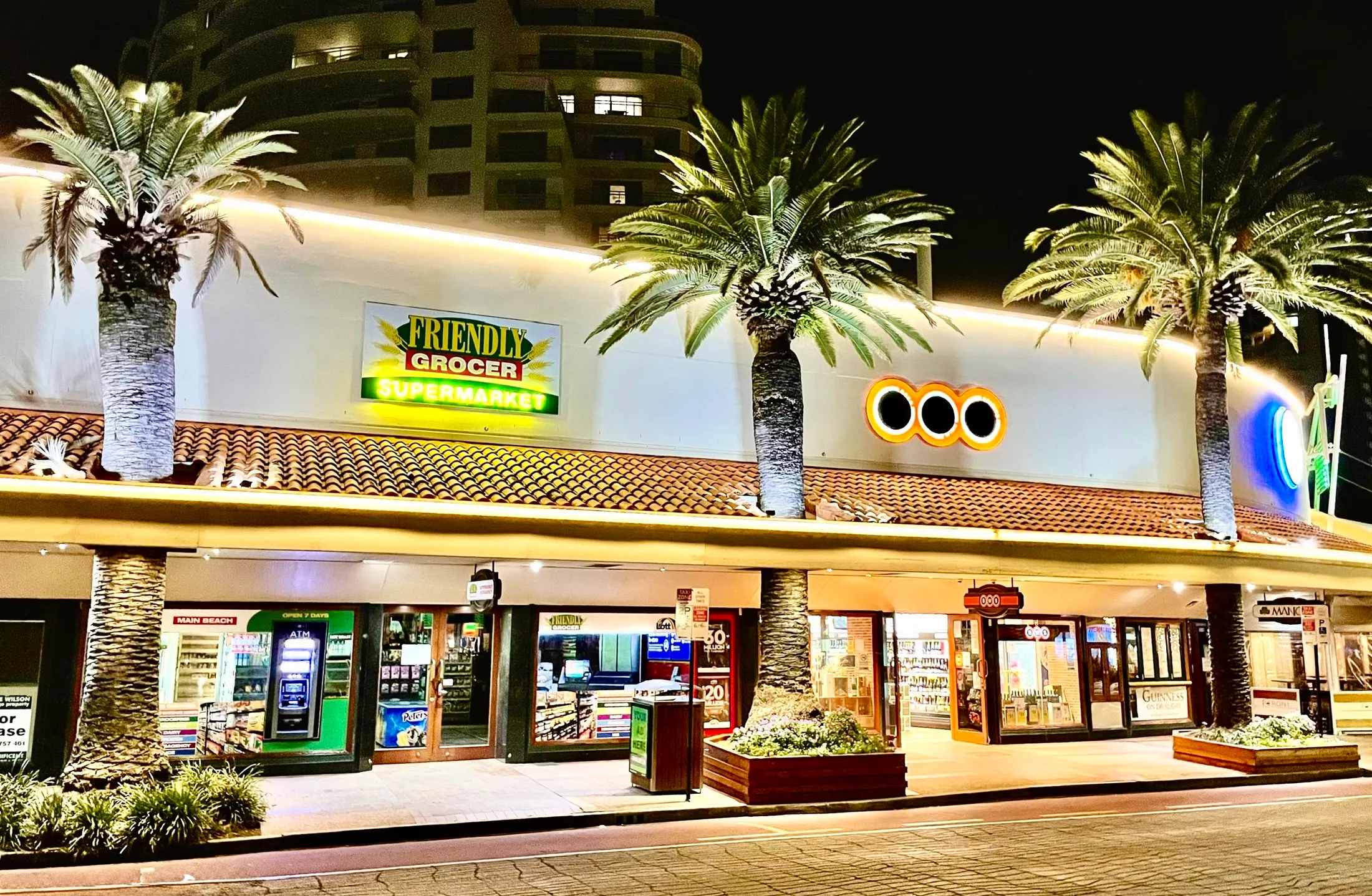 Palm Trees in the City