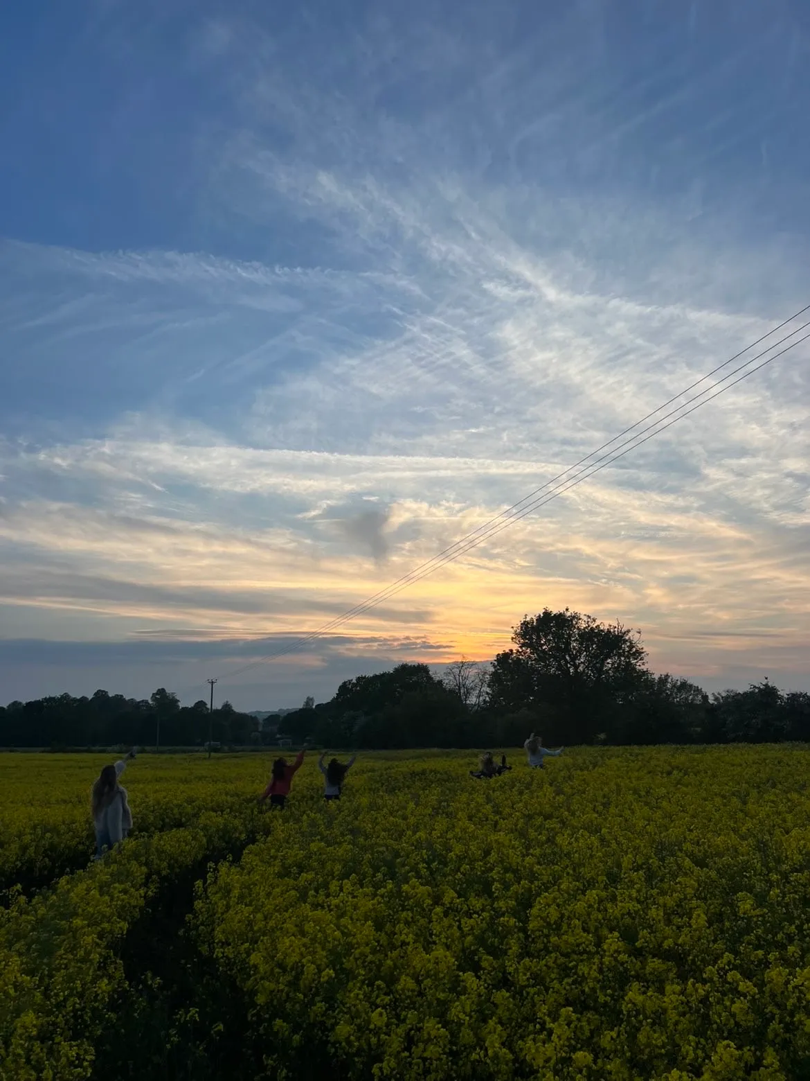 sunset landscape