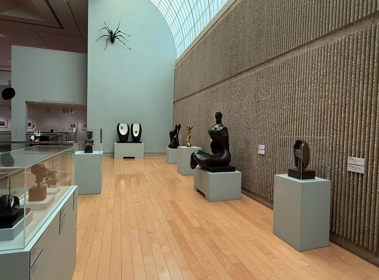 Spider in the Museum