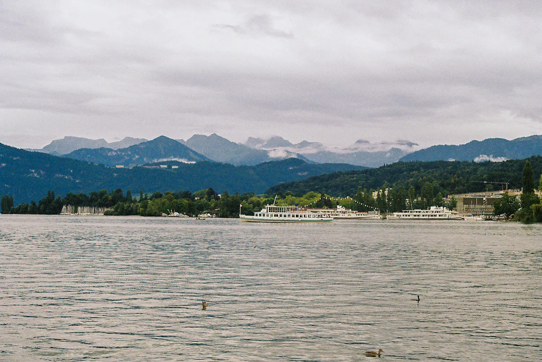 Swiss Alps