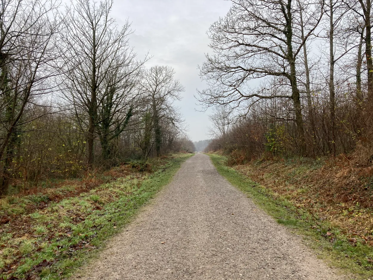 A winters walk