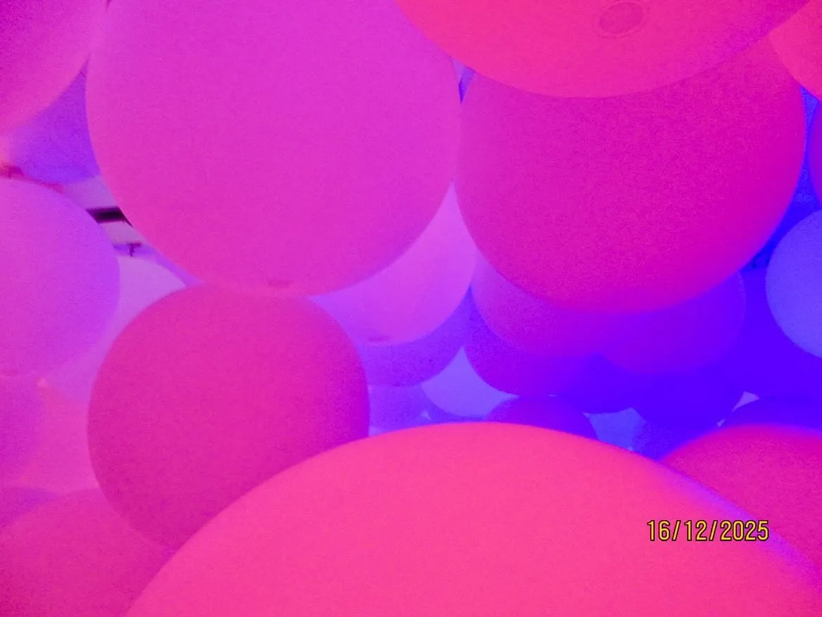 Entry 29106374