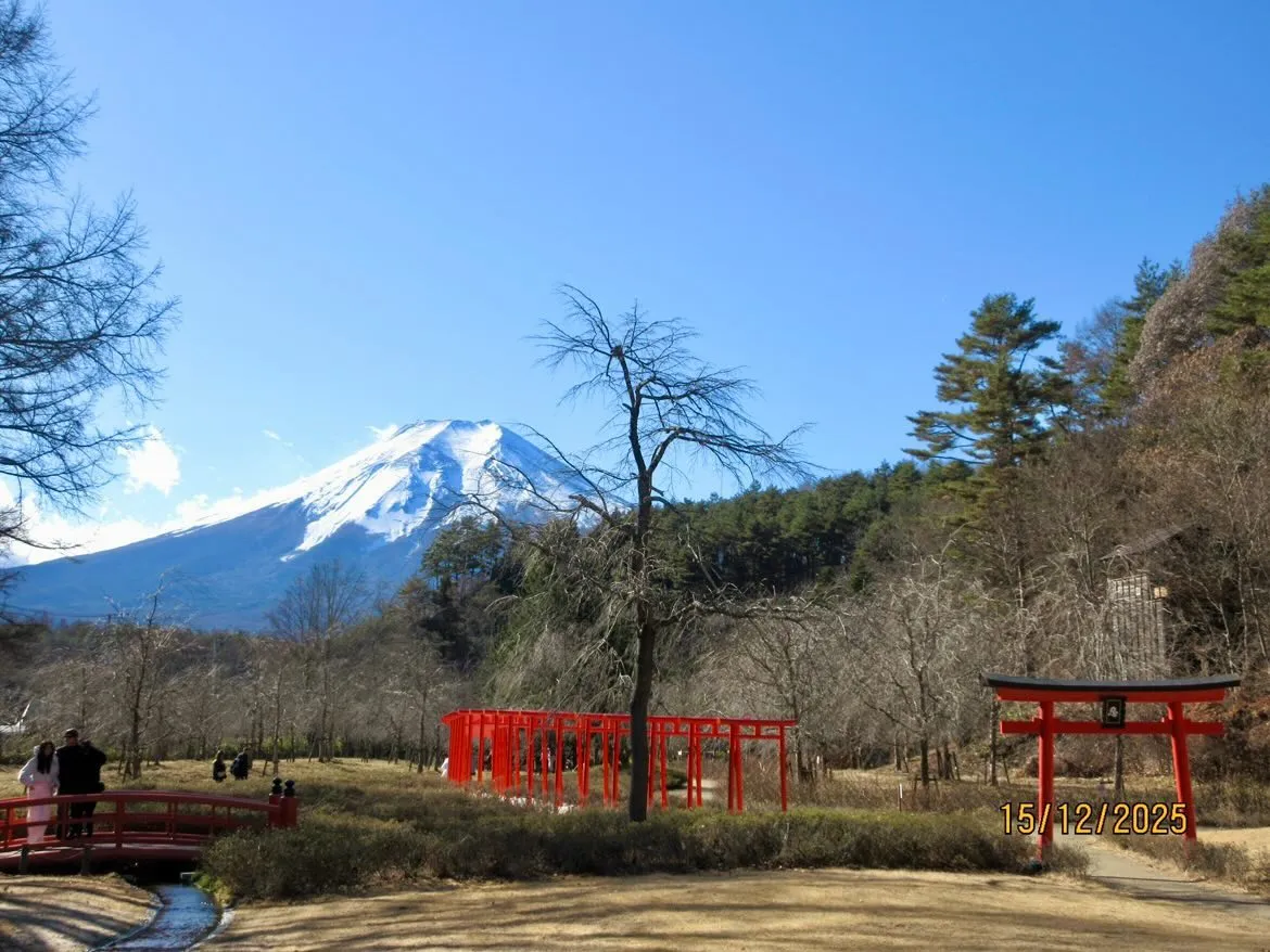 Mt Fuji
