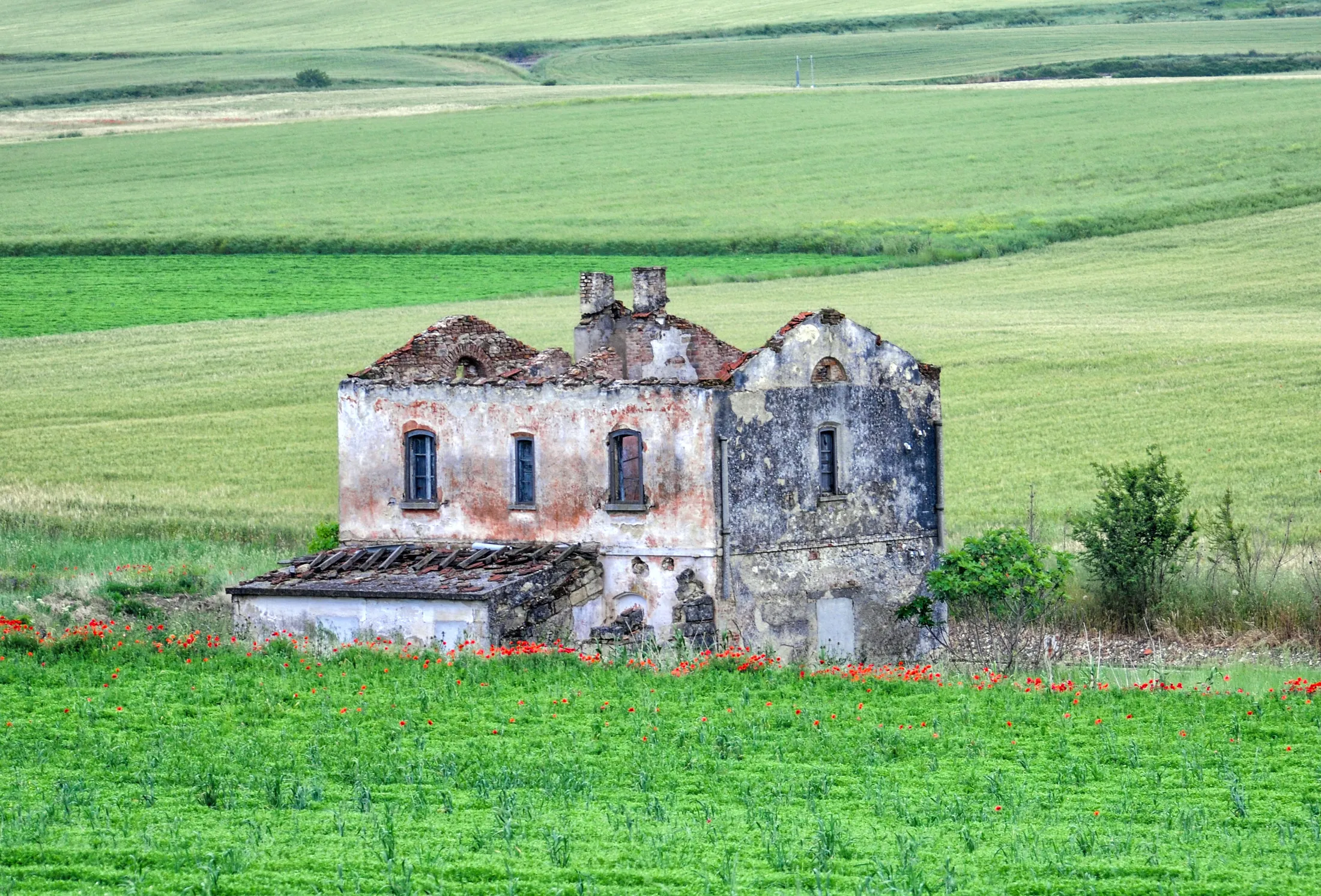 No roof