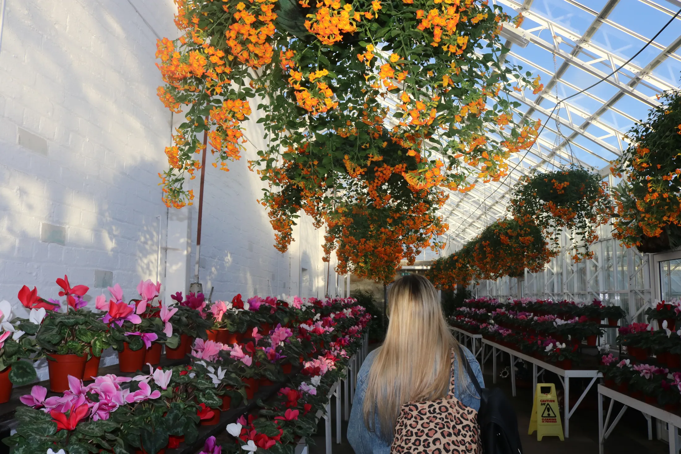 Walk through the winter gardens